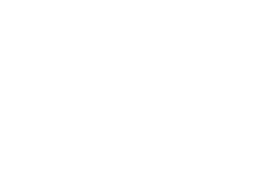 Wollenhaupt Logo