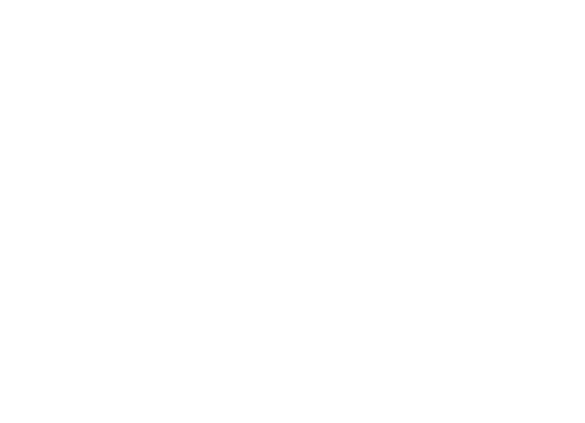 Haelssen-lyon Logo