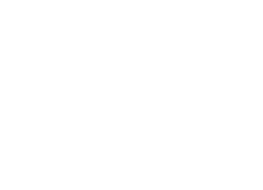 Sinas Logo