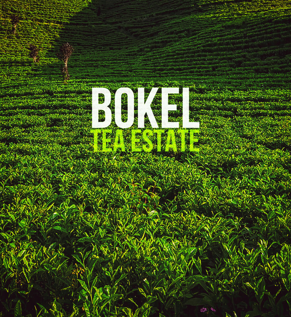 Bokel Banner