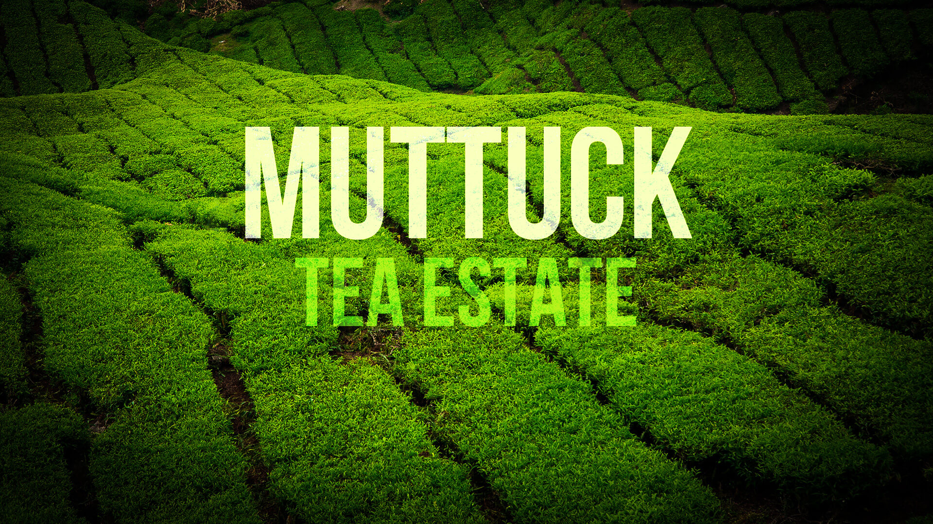 Muttuck Banner