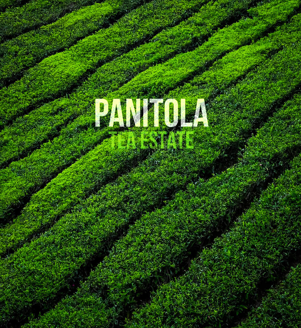 Panitola Banner