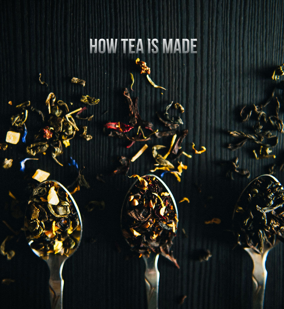 How Tea Is Made Banner