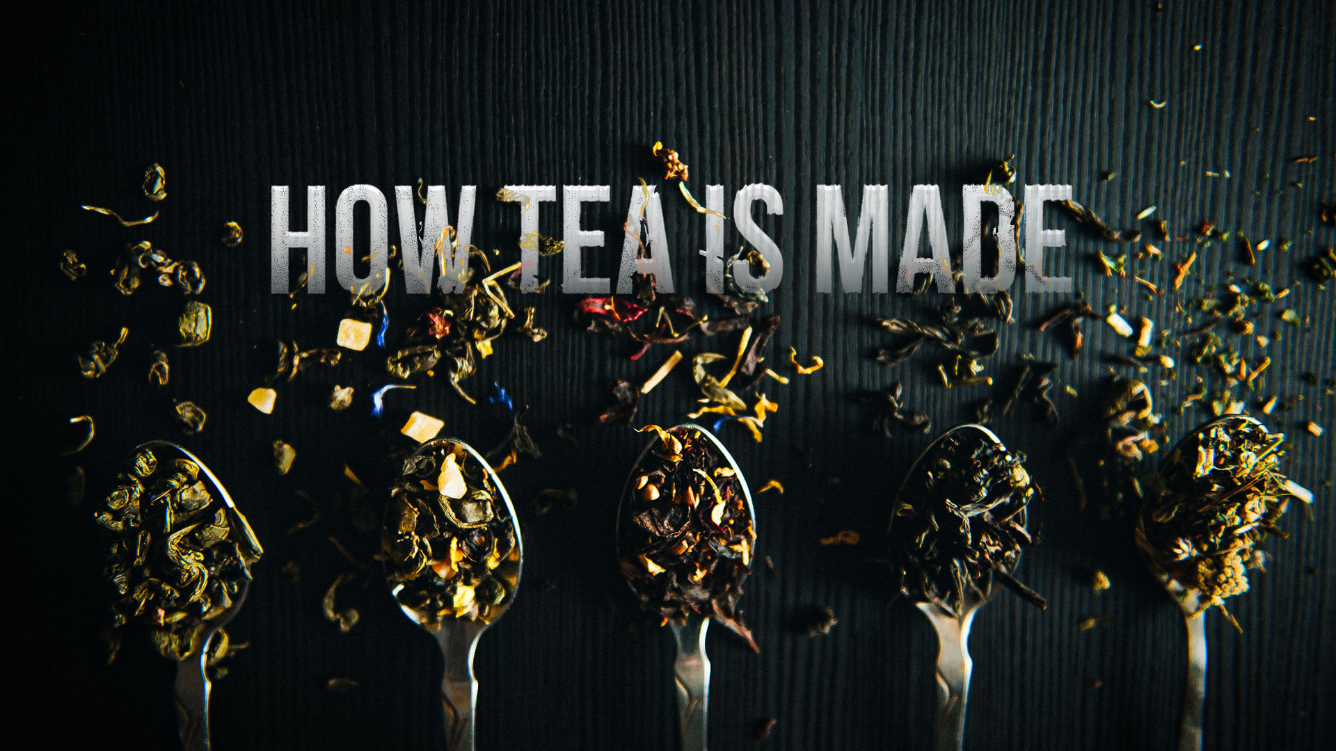 How Tea Is Made Banner